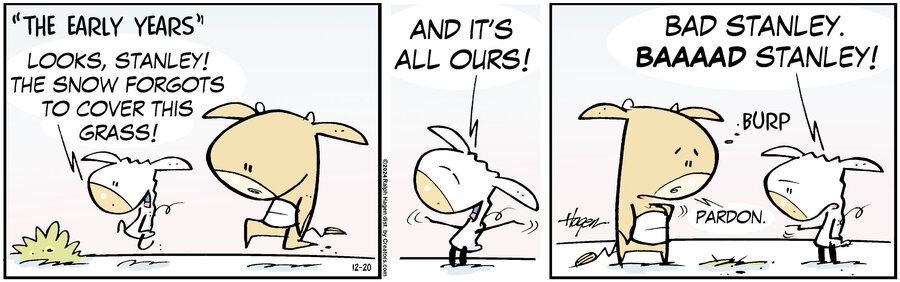 The Barn for Dec 20, 2024