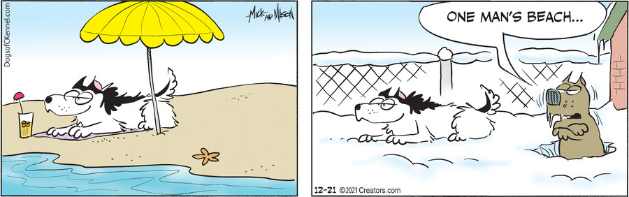 Dogs of C-Kennel for Dec 21, 2021