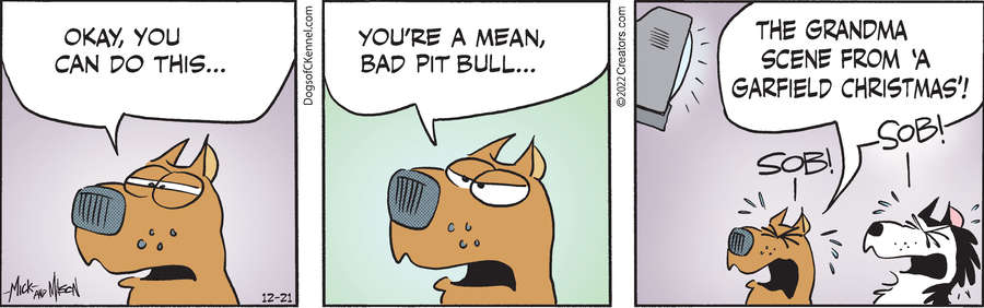 Dogs of C-Kennel for Dec 21, 2022