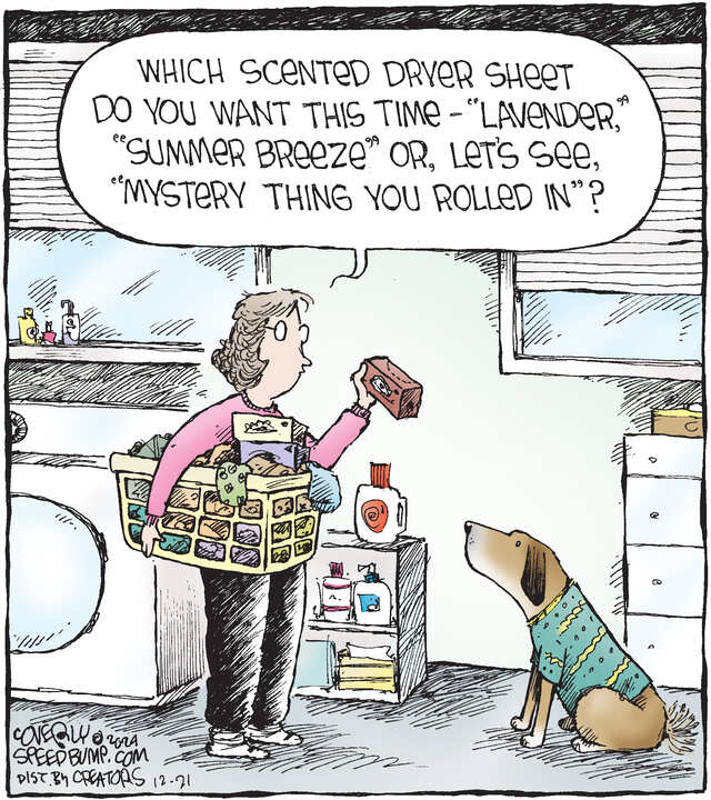 Speed Bump for Dec 21, 2024