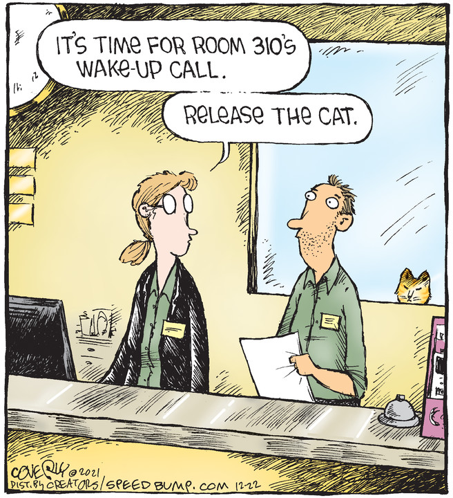 Speed Bump for Dec 22, 2021