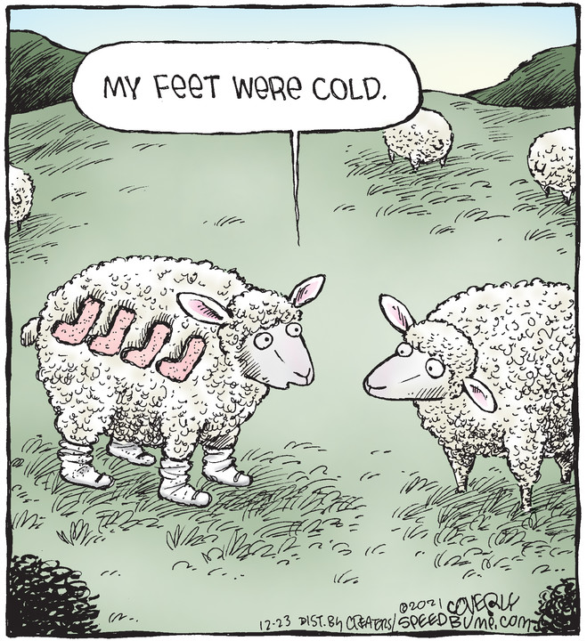 Speed Bump for Dec 23, 2021