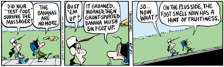 Agnes for Dec 23, 2022