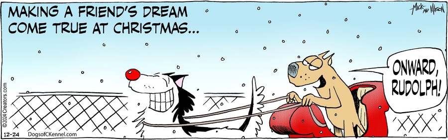 Dogs of C-Kennel for Dec 24, 2024