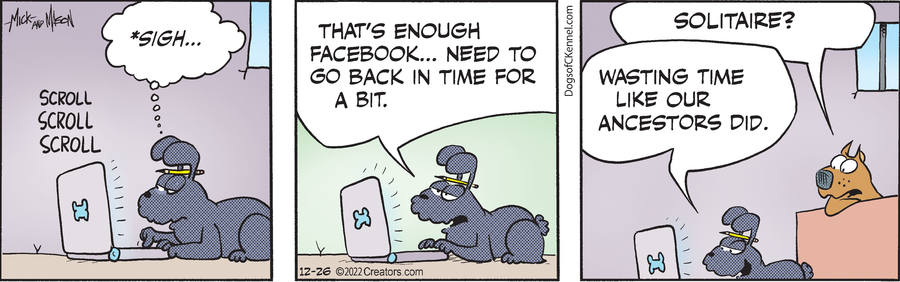 Dogs of C-Kennel for Dec 26, 2022