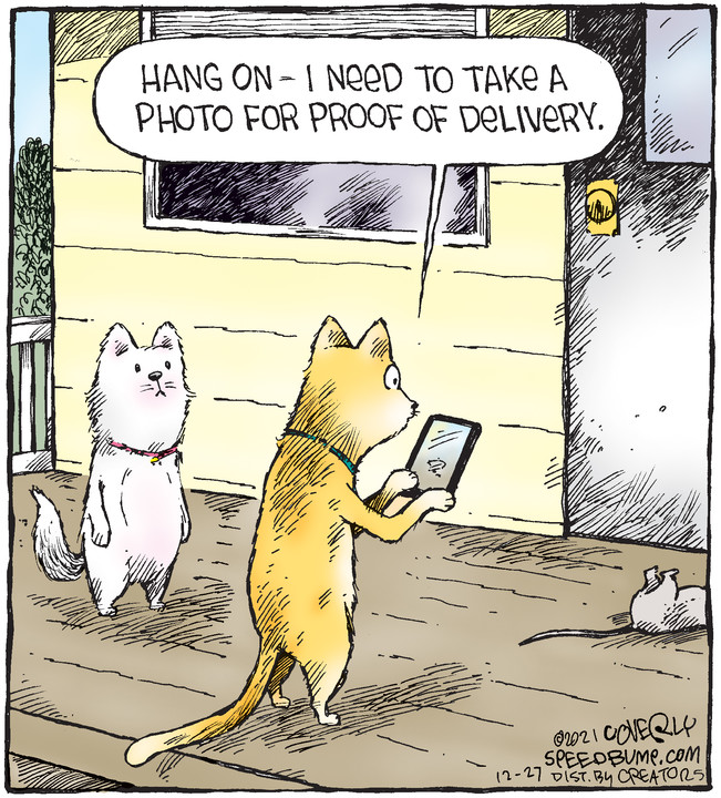 Speed Bump for Dec 27, 2021