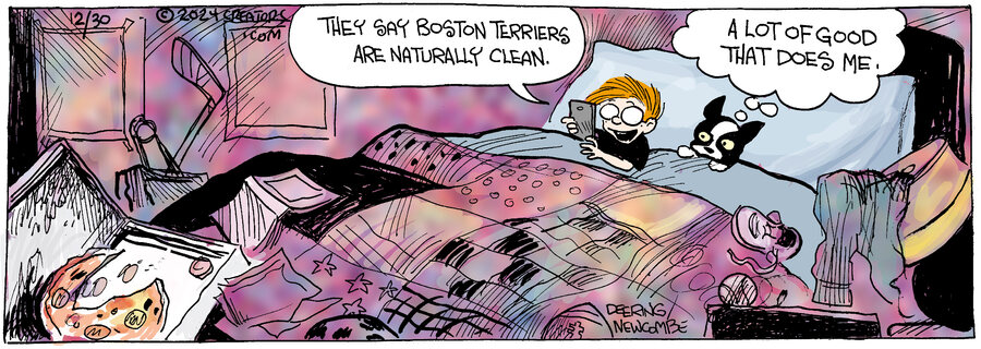 Zack Hill for Dec 30, 2024