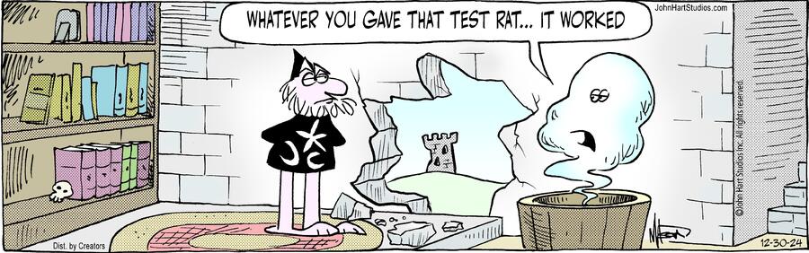 Wizard of Id for Dec 30, 2024