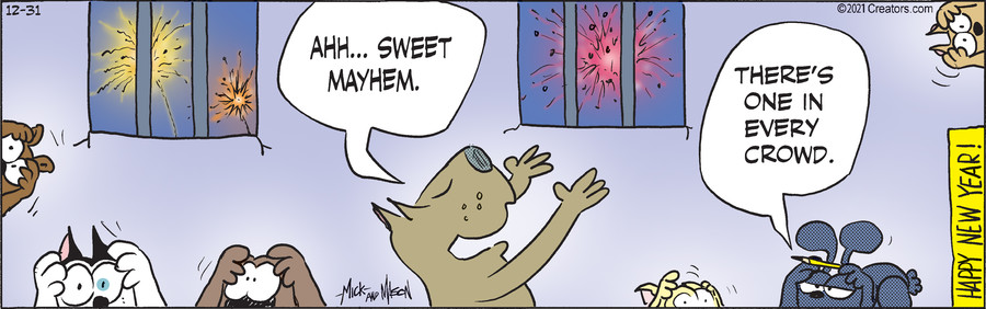 Dogs of C-Kennel for Dec 31, 2021