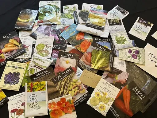 This March 17, 2022, image provided by Jessica Damiano shows a collection of old seed packages spread out on a table on Long Island, N.Y. Seeds may sprout past their expiration dates, so it's a good idea to test them for viability before disposing of (or planting) them. (Jessica Damiano via AP)