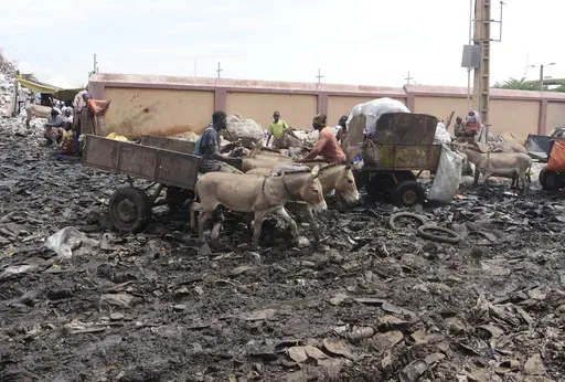 Donkeys pull a cart to collect household waste at the Badalabougou garbage dump site in Bamako, Mali, on July 10, 2024. (AP Photo/Moustapha Diallo)