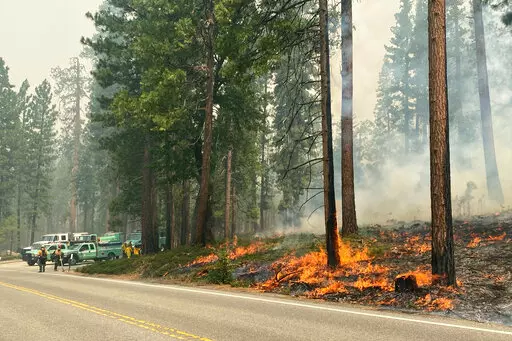 In this photo provided by the National Park Service, the Washburn Fire burns next to a roadway north of the Wawona Hotel in Yosemite National Park, Calif., Monday, July 11, 2022. A heat wave was developing in California on Monday but winds were light as firefighters battled a wildfire that poses a threat to a grove of giant sequoias and a small community in Yosemite National Park. (National Park Service via AP)