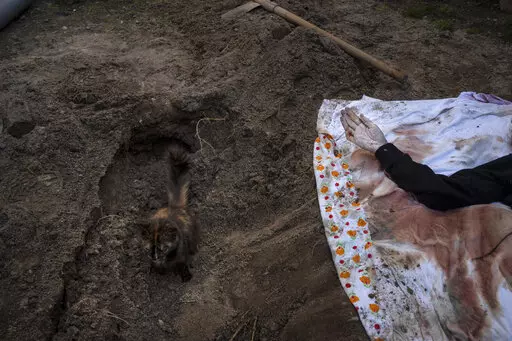 A cat rests inside the grave of Lyudmyla Kononuchenko, 51, who was buried by family and friends after being hit by a rocket on March 23 during the war with Russia, in Irpin, in the outskirts of Kyiv, Ukraine, Friday, April 15, 2022. Kononuchenko's body was exhumed from her yard and taken to the morgue for analysis. (AP Photo/Rodrigo Abd)