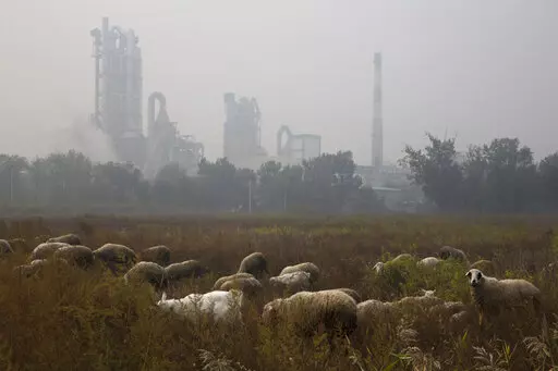 Sheep graze on a grass land near a cement plant on the outskirts of Beijing, China, Oct. 17, 2015. New global data released in May 2022, shows that emissions of heat-trapping gases coming from making cement have doubled in the last 20 years. It's all being driven by China, which is responsible for more than half of the globe's cement carbon emissions. (AP Photo/Ng Han Guan, File)