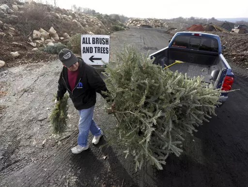 FILE- George Highhouse, of Scranton, brings his Christmas tree and a wreath to Lackawanna County Recycling in Dunmore, Pa., on Jan. 2, 2019. Discarded Christmas trees can be picked up curbside for recycling through regular trash-collection services or or dropped off at locations in various cities. The trees are often shredded for use as compost or mulch that is offered back to residents and non-profit groups free of charge for gardening and landscaping. (Jake Danna Stevens/The Times-Tribune via 