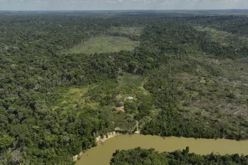 A river borders an area that has been illegally deforested by land-grabbers and cattle farmers in an extractive reserve in Jaci-Parana, Rondonia state, Brazil, July 11, 2023. (AP Photo/Andre Penner, File)
