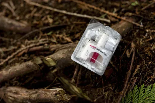 A container of Narcan, or naloxone, sits on tree roots at a longstanding homeless encampment in Bellingham, Wash., on Thursday, Feb. 8, 2024. (AP Photo/Lindsey Wasson, File)