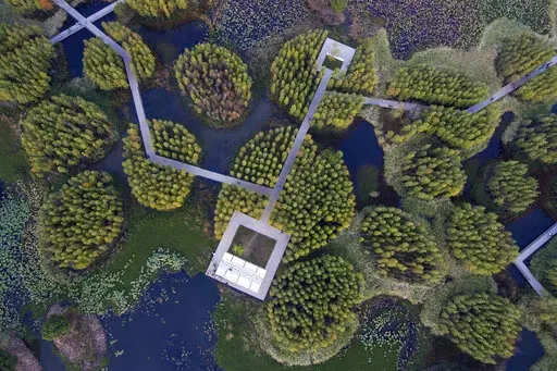 A walkway goes through ponds and islets at the "Fish Tail" sponge park that's built on a former coal ash dump site in Nanchang in north-central China's Jiangxi province on Sunday, Oct. 30, 2022. The concept of the park involves creating and expanding parks and ponds within urban areas to prevent flooding and absorb water for times of drought. (AP Photo/Ng Han Guan)