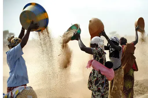 FILE- Malian women sift wheat in a field near Segou, central Mali, Jan. 22, 2013. In 2022, Families across Africa are paying about 45% more for wheat flour as Russia's war in Ukraine blocks exports from the Black Sea. Some countries like Somalia get more than 90% of their wheat from Russia and Ukraine. That's forcing many people to substitute wheat for other grains. But the United Nations is warning that the price hikes are coming as many parts of Africa are facing drought and hunger. (AP Photo/