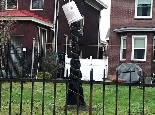 This 2020 image provided by Mary Menniti shows a fig tree wrapped in tar paper and topped with a protective bucket in Pittsburgh. (Mary Menniti/TheItalianGardenProject.com via AP)