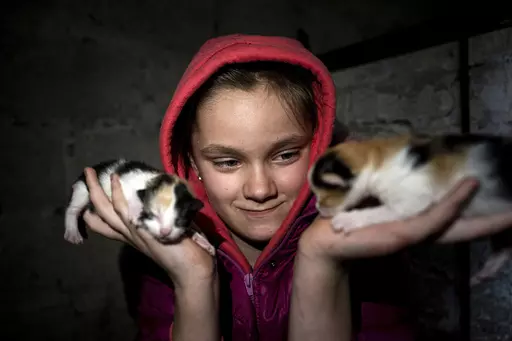 10 year old Khrystyna pets her kittens at her house in Bohoyavlenka, Ukraine, on Sunday, April 9, 2023. Khrystyna's father died last summer after a Russian shell hit his basement. (AP Photo/Evgeniy Maloletka)