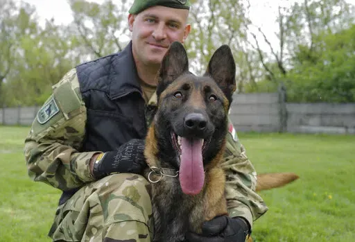 Sgt. 1st Class Balazs Nemeth and his bomb sniffer dog Logan are seen together at the garrison of Explosive Ordnance Disposal and Warship Regiment of the Hungarian Defense Forces in Budapest, Hungary, April 28, 2022. Logan, a two-year-old Belgian shepherd, has received a second chance after being rescued from abusive owners and recruited to serve in an elite military bomb squad. Logan is undergoing intensive training as an explosive detection dog for the Hungarian Defense Forces. (AP Photo/Bela S