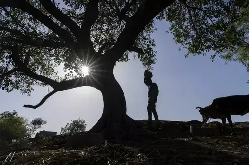 Vaibhav Maske, a farmer, carries water in a vessel at his farm outside Beed, India, Friday, May 3, 2024. Voters in India, from the rain-drenched Himalayas in the north to the sweltering, dry south, are looking for politicians who promise relief, stability and resilience to the wide-ranging and damaging effects of a warming climate. Maske said local and federal governments need to prioritize providing a water source for farming. (AP Photo/Rafiq Maqbool)