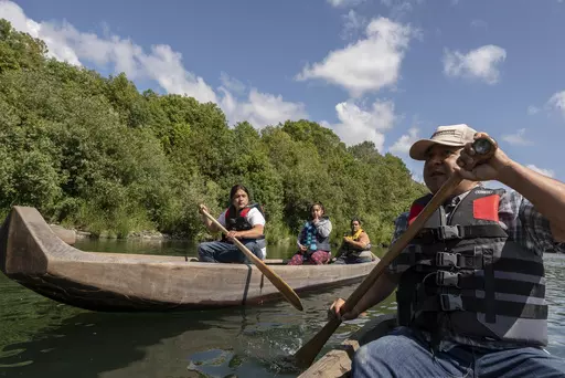 Yurok tribal members lead a redwood canoe tour on the lower Klamath River on Tuesday, June 8, 2021, in Klamath, Calif. As the salmon of the Klamath have dwindled the Yurok tribe has turned to alternative revenue like eco tourism and canoe tours in an effort to support their people. The Yurok Tribe, which lost 90 percent of its ancestral land during the Gold Rush in the mid-19th century, is getting back a slice of its territory under an agreement signed Tuesday, March 19, 2024, with California an