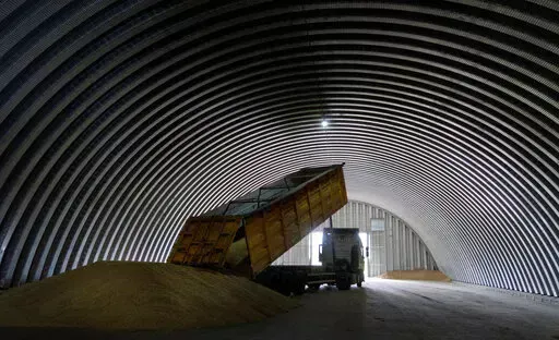 A dump track unloads grain in a granary in the village of Zghurivka, Ukraine, Aug. 9, 2022. A wartime agreement that allowed grain shipments from Ukraine to resume and helped temper global food prices will be extended by 120 days, the United Nations and other parties to the deal say on Thursday, Nov. 17. (AP Photo/Efrem Lukatsky, File)