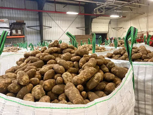 In this photo provided Jay LaJoie, russet potatoes produced by Maine growers are packaged to be loaded on a rail car headed for Washington State, at a warehouse owned by LaJoie Growers LLC, in Van Buren, Maine, Jan. 17, 2022. Maine is shipping potatoes all the way to the West Coast over the winter of 2021-2022, thanks to a banner harvest in Maine and a drought for growers in the West. (Jay LaJoie via AP)
