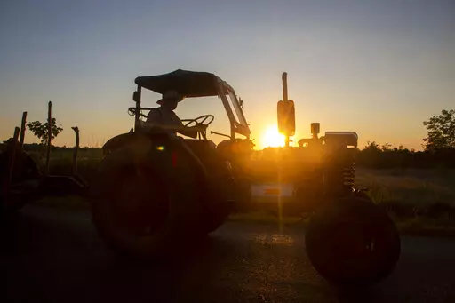 A man moves on a tractor along the highway at dawn, in Batabano, Cuba, Tuesday, Oct. 25, 2022. Cuba is suffering from longer droughts, warmer waters, more intense storms, and higher sea levels because of climate change. (AP Photo/Ismael Francisco)