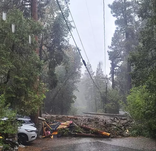 In this photo released by the San Bernardino County Fire Department, a fallen tree and other debris blocks a road in Forest Falls after a mudslide in San Bernardino County, Calif., on Monday, Sept. 12, 2022.  (San Bernardino County Fire Department via AP)