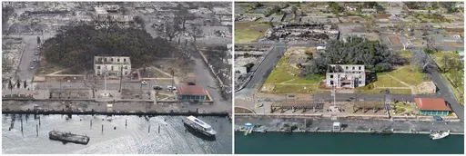 This combination of photos shows the historic Lahaina banyan tree in Lahaina, Hawaii, after the Lahaina wildfire on Aug. 10, 2023, left, and July 6, 2024, right. (AP Photo)