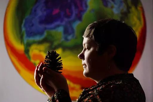 University of Maine climate scientist Jacquelyn Gill examines a cone from a western pine at the Sawyer Environmental Research Center, Wednesday, May 4, 2022, in Orono, Maine. Gill says her work as a paleo-ecologist and climatologist has given her hope for the Earth's resilience despite global warming. Climate scientists who have been through a lot both personally and professionally say the key is often action. (AP Photo/Robert F. Bukaty)