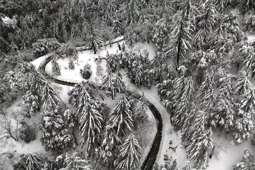State Route 138 winds through snow-covered trees near Hesperia, Calif., Wednesday, March 1, 2023. Tremendous rains and snowfall since late last year have freed half of California from drought, but low groundwater levels remain a persistent problem, U.S. Drought Monitor data showed Thursday, March 2. (AP Photo/Jae C. Hong)