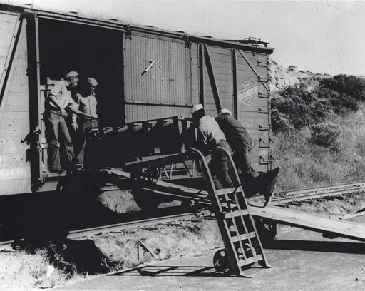This image provided by Naval History and Heritage Command, shows African American Sailors of a naval ordnance battalion unloading aerial bombs from a railcar, circa 1943/44, in Port Chicago, Calif. The U.S. Navy has exonerated 256 Black sailors who were found to be unjustly punished in 1944 following a horrific port explosion that killed hundreds of service members and exposed racist double standards among the then-segregated ranks. (Naval History and Heritage Command/National Park Service via A