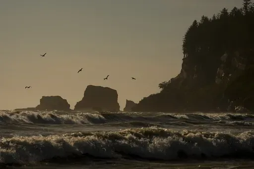 Pelicans fly near the shore as waves from the Pacific Ocean roll in on May 14, 2024, on the Quinault reservation in Taholah, Wash. (AP Photo/Lindsey Wasson, File)