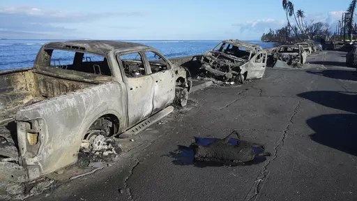 EDS NOTE: GRAPHIC CONTENT - The carcass of a dog lies next to burned-out vehicles on Front Street in Lahaina, Hawaii on Friday, Aug. 11, 2023. (AP Photo/Rick Bowmer)