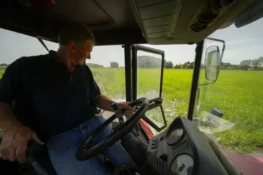 Rice farmer Giovanni Daghetta handles a dewatering pump from a tractor to get water from a channel to a completely dried rice field, in Mortara, Lomellina area, Italy, Monday, June 27, 2022. The worst drought Italy has faced in 70 years is thirsting paddy fields in the river Po valley and jeopardizing the harvest of the premium rice used for risotto. (AP Photo/Luca Bruno)