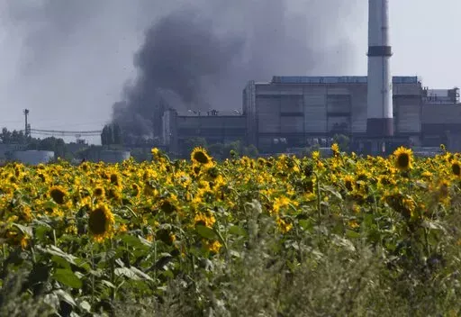 Smoke from an oil refinery rises over a field of sunflowers near the city of Lisichansk, Luhansk region, eastern Ukraine on July 26, 2014. Prices for food commodities like grains and vegetable oils reached their highest levels ever last month because of Russia's war in Ukraine and the “massive supply disruptions” it is causing, the United Nations said Friday, April 8, 2022. (AP Photo/Dmitry Lovetsky)