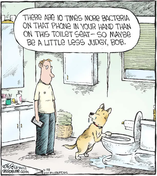 Speed Bump for Mar 28, 2025