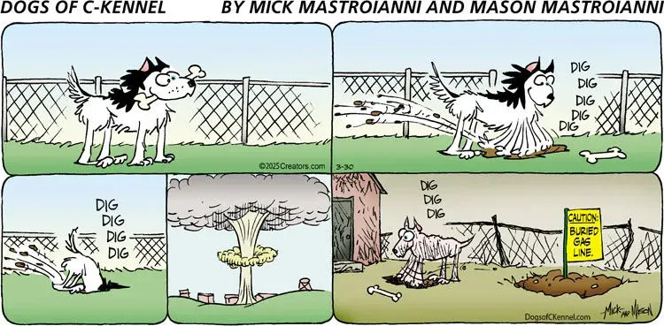 Dogs of C-Kennel for Mar 30, 2025